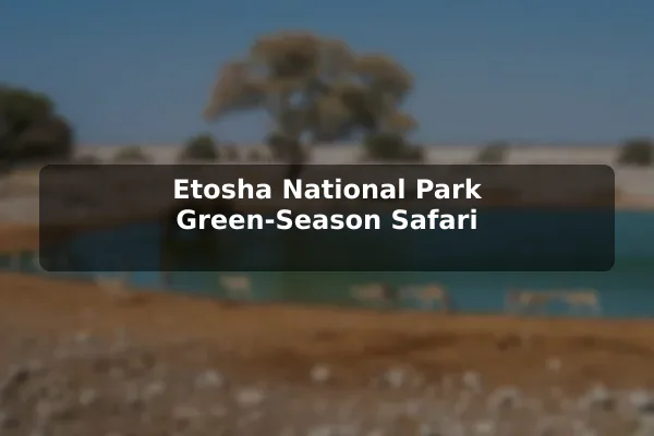 Etosha National Park Green-Season Safari