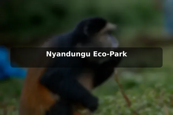 Nyandungu Eco-Park